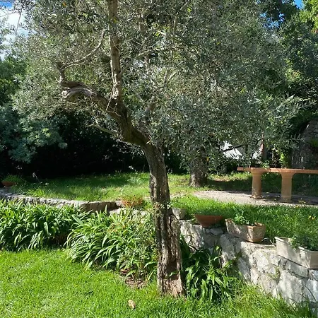 Sea View House